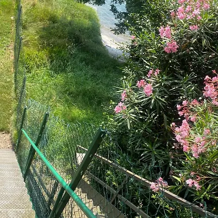 Palazzo Dei Leoni Villa Ameno