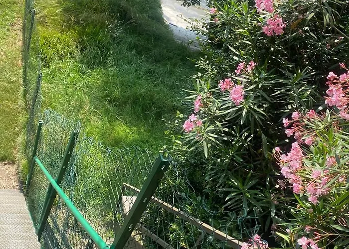 Palazzo Dei Leoni Villa Ameno